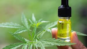 Buy CBD oil in Zaragoza | Fast Deliverey