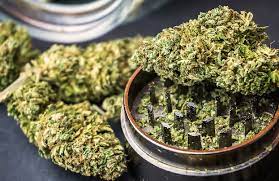buy weed online in Murcia | fast delivery