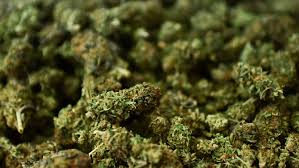 buy weed online in Palma | fast Delivery