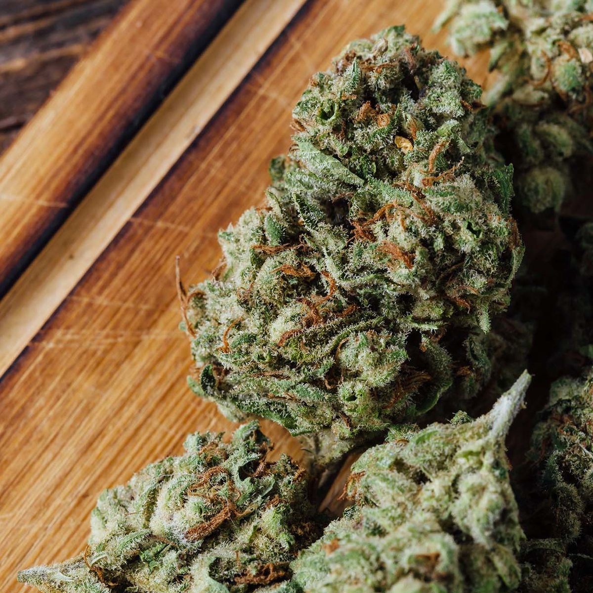🌿 Where to Buy Premium Cannabis Products in Spain – CBD Spain Store
